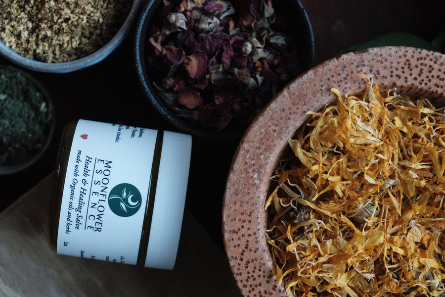 Health & Healing Salve