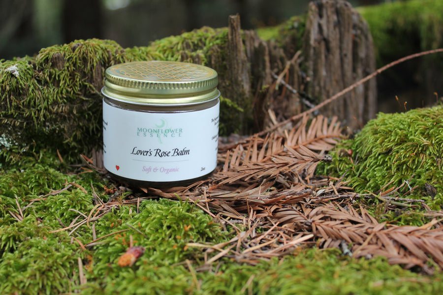 Lover’s Rose Salve