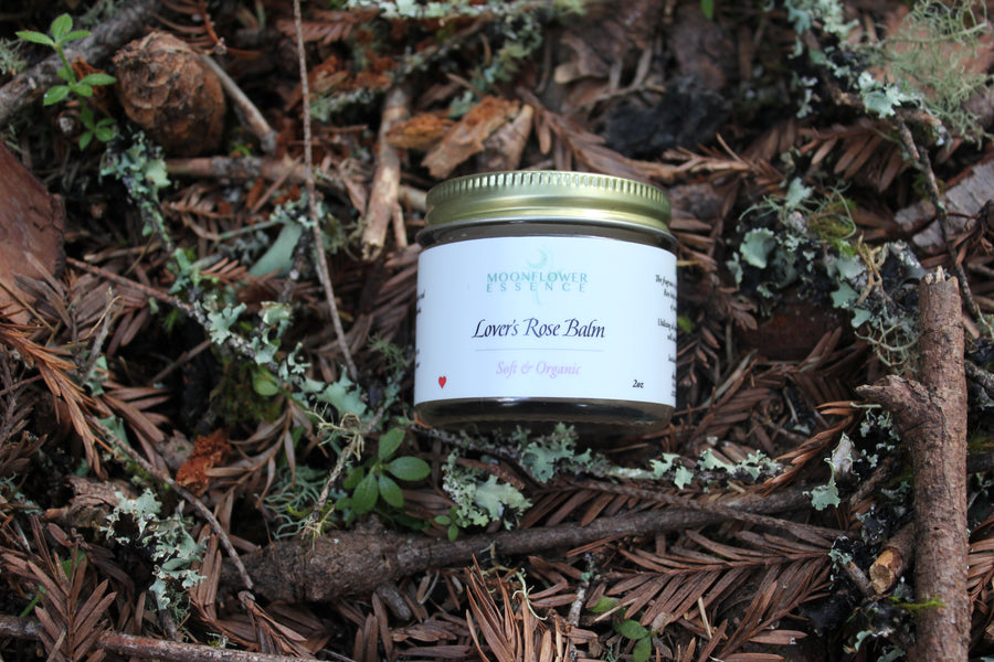 Lover’s Rose Salve